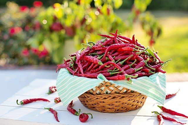 chiles
