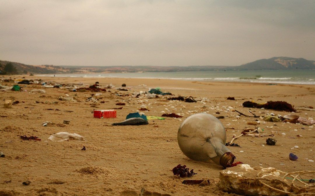 Un mar de plásticos