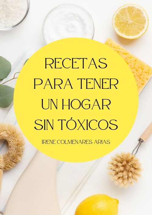 Portada del libro de recetas para tener un hogar sin tóxicos