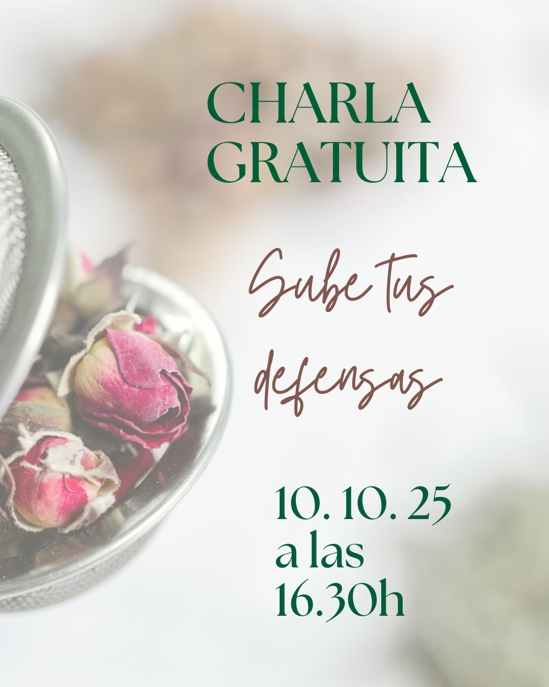 webinar gratuito